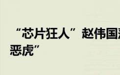 “芯片狂人”赵伟国落马，是“饿虎”也是“恶虎”