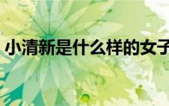 小清新是什么样的女子（小清新是什么意思）