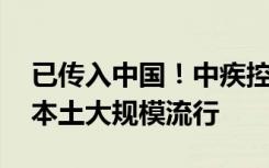 已传入中国！中疾控：CH.1.1短期不会引起本土大规模流行