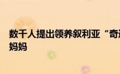 数千人提出领养叙利亚“奇迹宝宝”，获救时脐带连着遇难妈妈