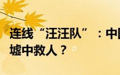 连线“汪汪队”：中国救援队搜救犬如何在废墟中救人？