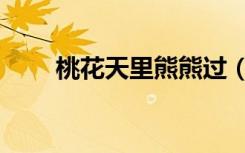 桃花天里熊熊过（桃花天里熊熊过）