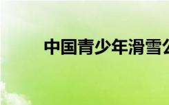 中国青少年滑雪公开赛重庆站收官