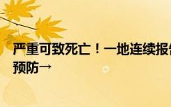 严重可致死亡！一地连续报告“鹦鹉热”病例！请注意这样预防→