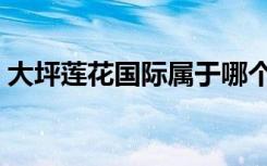大坪莲花国际属于哪个街道（大坪莲花国际）