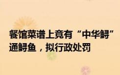 餐馆菜谱上竟有“中华鲟”？官方调查：实为人工养殖的普通鲟鱼，拟行政处罚