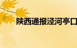 陕西通报泾河亭口镇段水体发黑情况