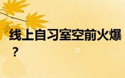 线上自习室空前火爆，真的能“好好学习”吗？