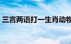 三言两语打一生肖动物（三言两语打一生肖）