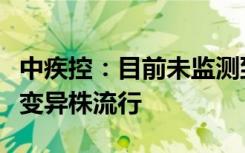 中疾控：目前未监测到传播力明显增加的新型变异株流行