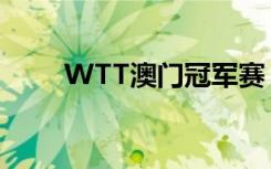 WTT澳门冠军赛：陈幸同晋级决赛