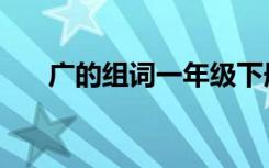 广的组词一年级下册语文（广的组词）