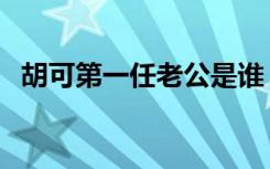 胡可第一任老公是谁（胡可的第一个丈夫）