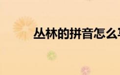 丛林的拼音怎么写（丛林的拼音）