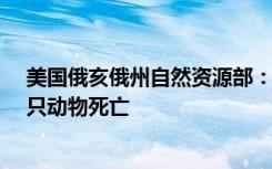 美国俄亥俄州自然资源部：“毒火车”事件已造成近4.4万只动物死亡