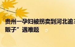 贵州一孕妇被拐卖到河北逾34年，儿子成年后带母追责“人贩子”遇难题