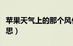苹果天气上的那个风什么意思（苹风是什么意思）