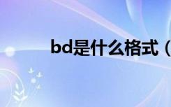 bd是什么格式（bd是什么格式）