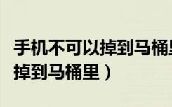 手机不可以掉到马桶里的下一句（手机不可以掉到马桶里）