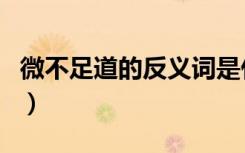 微不足道的反义词是什么（微不足道的反义词）