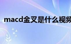 macd金叉是什么视频（macd金叉是什么）