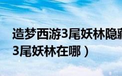 造梦西游3尾妖林隐藏副本在哪里（造梦西游3尾妖林在哪）