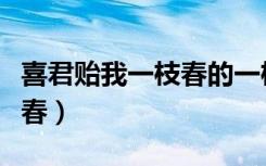喜君贻我一枝春的一枝指的是（喜君贻我一枝春）