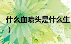 什么血喷头是什么生肖（头破血流是什么生肖）