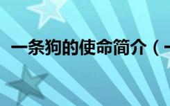 一条狗的使命简介（一条狗的使命 百度云）