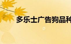 多乐士广告狗品种（多乐士广告狗）