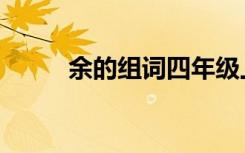 余的组词四年级上册（余的组词）