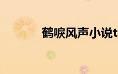 鹤唳风声小说txt（鹤唳风声）