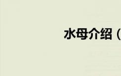 水母介绍（水母论坛）
