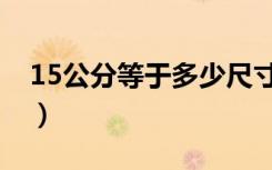 15公分等于多少尺寸（15公分等于多少厘米）