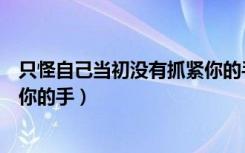 只怪自己当初没有抓紧你的手歌名（只怪自己当初没有抓紧你的手）