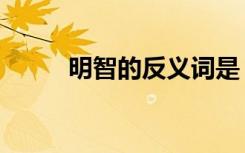 明智的反义词是（明智的反义词）