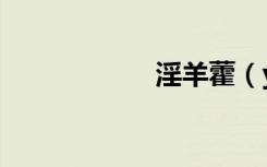 淫羊藿（yinyang）