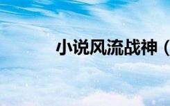 小说风流战神（小说风流名将）