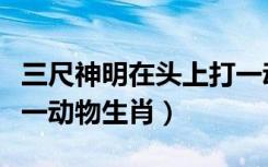三尺神明在头上打一动物（三尺神明在头上打一动物生肖）