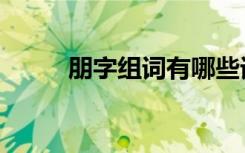 朋字组词有哪些词语（朋字组词）