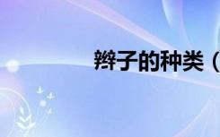 辫子的种类（辫子的拼音）