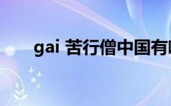 gai 苦行僧中国有嘻哈（gai 苦行僧）