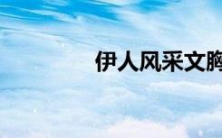 伊人风采文胸（伊人风采）