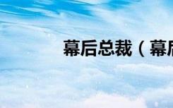 幕后总裁（幕后总裁 太残忍）