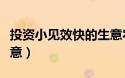投资小见效快的生意农村（投资小见效快的生意）
