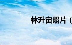 林升宙照片（林升的简介）
