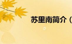 苏里南简介（苏里南时差）