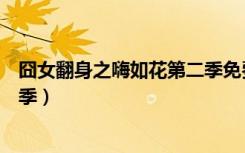 囧女翻身之嗨如花第二季免费观看（囧女翻身之嗨如花第二季）
