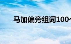 马加偏旁组词100个（马加偏旁组词）