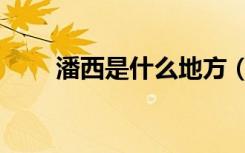潘西是什么地方（潘西是什么意思）